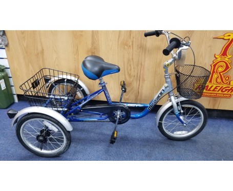 special needs trike with parent handle