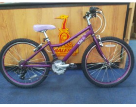 Second hand 24" Raleigh Chic Purple Girls Bike for 8 to 12 year old