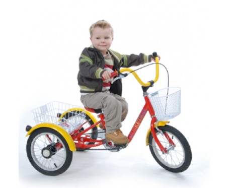 used special needs tricycle